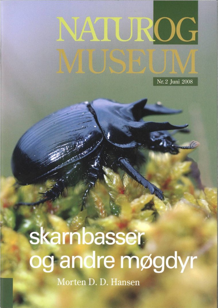 Skarnbasser og andre møgdyr